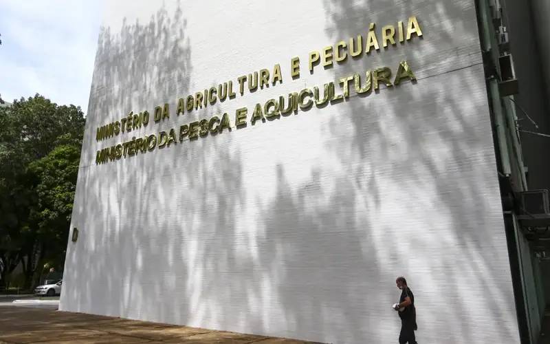 Sete casos de doenças respiratórias em aves são investigados no país